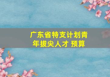 广东省特支计划青年拔尖人才 预算